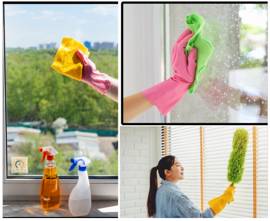 Windows Cleaning Services