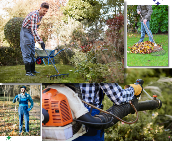 Garden-Cleaning-Services